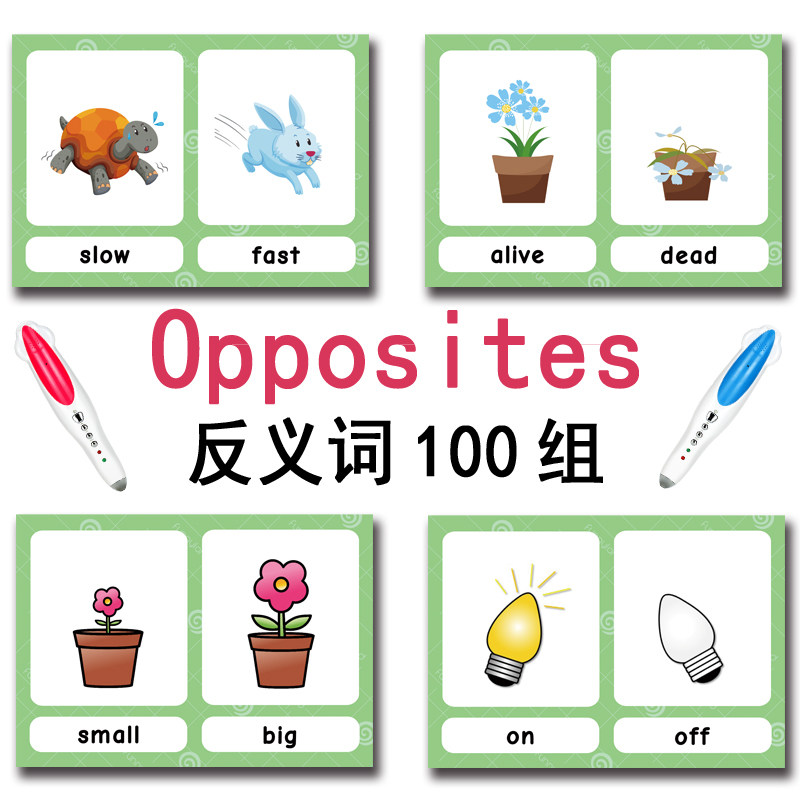 100 Cartões de Vocabulário em  - Kids Early Education avaliação e preço