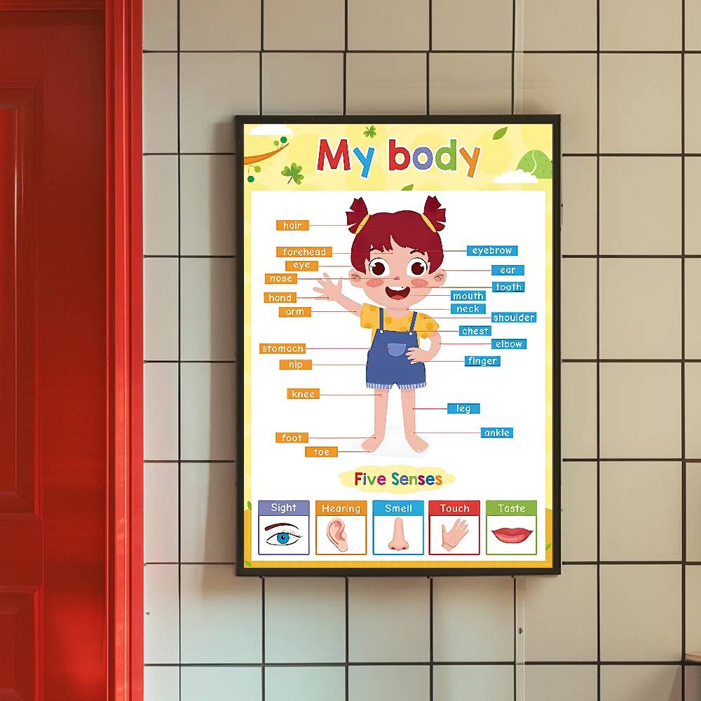 Pôster Educacional Colorido pa - Kids Education Charts avaliação e preço